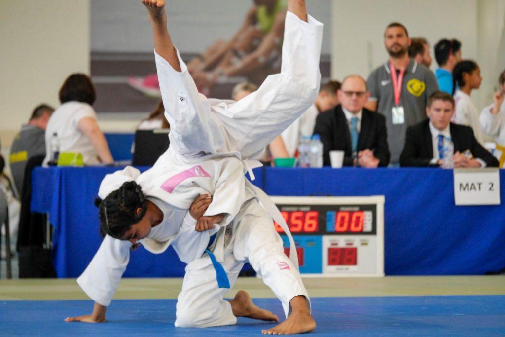 Judo playing